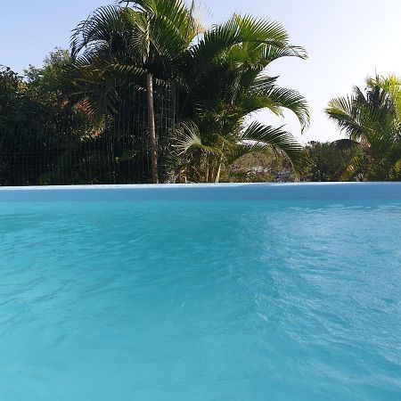 Le Goyav' Appart Avec Piscine Et Jacuzzi Au Vauclin Ле-Воклен Екстер'єр фото